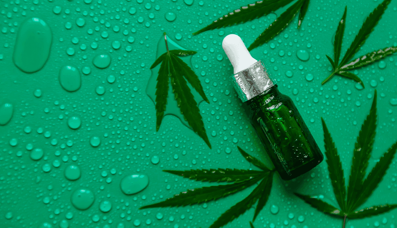 grüne Cannabis Pflanze und Extrakt auf grünem Hintergrund